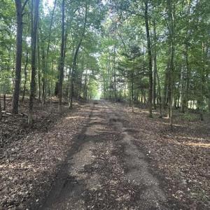 Photo #2 of 647 Joe Brown, Bear Creek, NC 50.3 acres