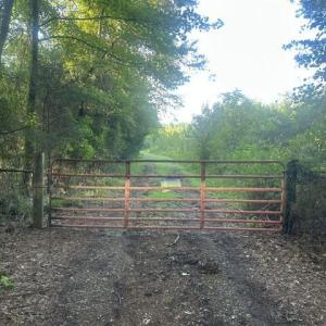 Photo #3 of 647 Joe Brown, Bear Creek, NC 50.3 acres
