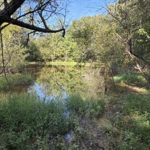 Photo #27 of 647 Joe Brown, Bear Creek, NC 50.3 acres