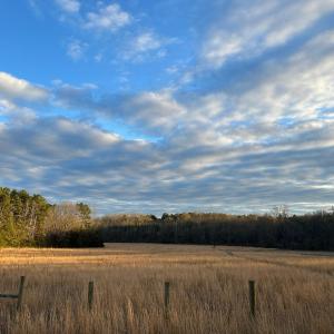 Photo #34 of 6061 River Run, Graham, NC 19.1 acres