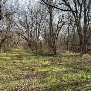 Photo #56 of 6061 River Run, Graham, NC 19.1 acres