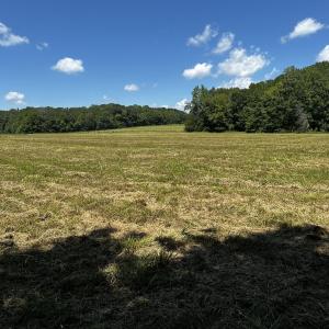 Photo #38 of 6061 River Run, Graham, NC 19.1 acres