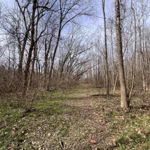 Photo #53 of 6061 River Run, Graham, NC 19.1 acres