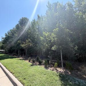 Photo #2 of 3112 Page, Morrisville, NC 1.6 acres