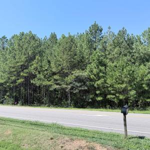 Photo #5 of 3112 Page, Morrisville, NC 1.6 acres