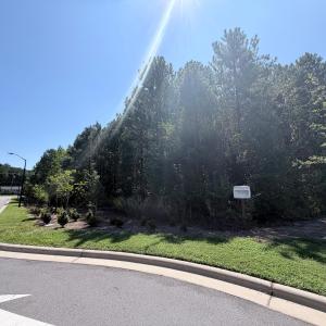Photo #8 of 3112 Page, Morrisville, NC 1.6 acres
