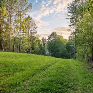 Photo #9 of Waterlyn, Ebony, VA 1.4 acres