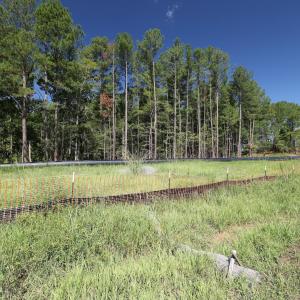 Photo #10 of 1941 Walter Bright Road, Sanford, NC 70.1 acres