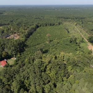 Photo #6 of 1941 Walter Bright Road, Sanford, NC 70.1 acres