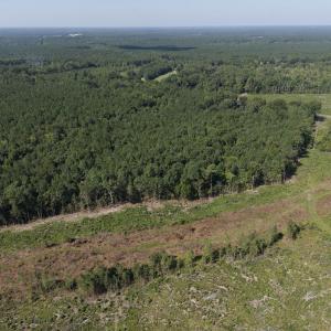 Photo #2 of 1941 Walter Bright Road, Sanford, NC 70.1 acres