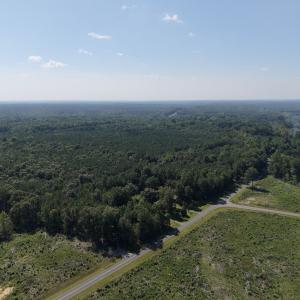 Photo #9 of 1941 Walter Bright Road, Sanford, NC 70.1 acres