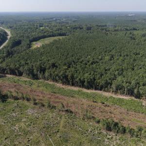 Photo #3 of 1941 Walter Bright Road, Sanford, NC 70.1 acres