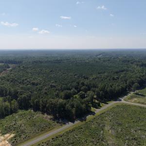 Photo #8 of 1941 Walter Bright Road, Sanford, NC 70.1 acres