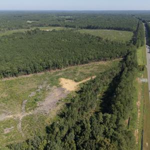 Photo #5 of 1941 Walter Bright Road, Sanford, NC 70.1 acres