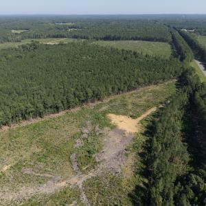 Photo #4 of 1941 Walter Bright Road, Sanford, NC 70.1 acres