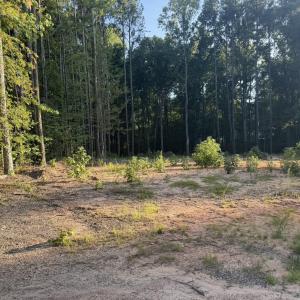 Photo #8 of 206 Rev Lewis, Henderson, NC 1.4 acres