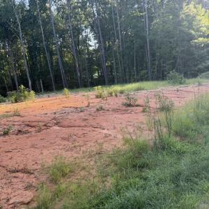Photo #9 of 206 Rev Lewis, Henderson, NC 1.4 acres