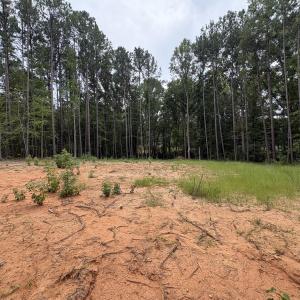 Photo #1 of 206 Rev Lewis, Henderson, NC 1.4 acres