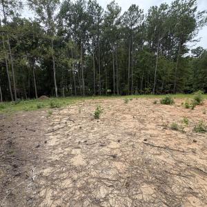 Photo #4 of 206 Rev Lewis, Henderson, NC 1.4 acres