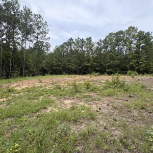 Photo #12 of 206 Rev Lewis, Henderson, NC 1.4 acres