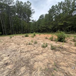 Photo #11 of 206 Rev Lewis, Henderson, NC 1.4 acres