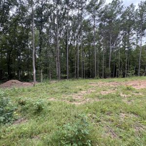 Photo #13 of 206 Rev Lewis, Henderson, NC 1.4 acres