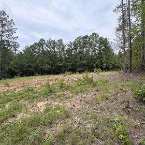 Photo #14 of 206 Rev Lewis, Henderson, NC 1.4 acres