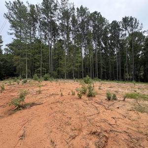 Photo #2 of 206 Rev Lewis, Henderson, NC 1.4 acres