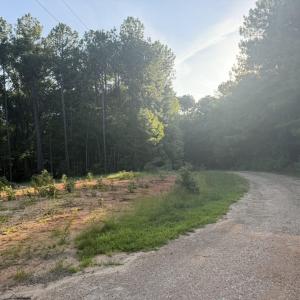 Photo #10 of 206 Rev Lewis, Henderson, NC 1.4 acres
