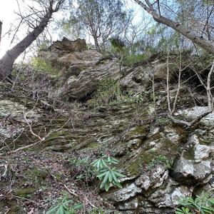 Photo #4 of Seven Island, Danbury, NC 25.1 acres