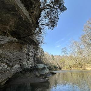 Photo #7 of Seven Island, Danbury, NC 25.1 acres