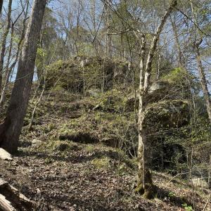 Photo #2 of Seven Island, Danbury, NC 25.1 acres