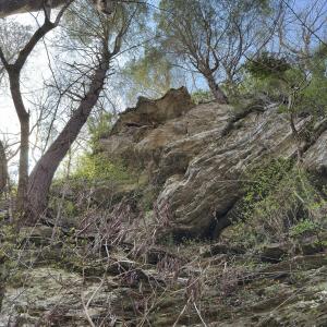 Photo #3 of Seven Island, Danbury, NC 25.1 acres
