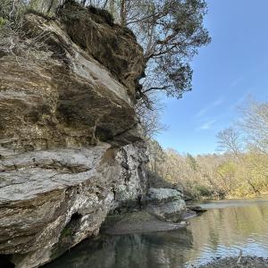 Photo #6 of Seven Island, Danbury, NC 25.1 acres