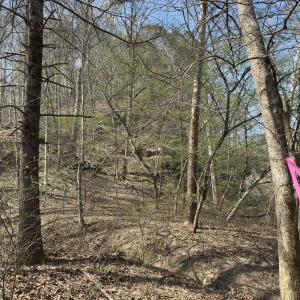 Photo #1 of Seven Island, Danbury, NC 25.1 acres
