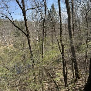 Photo #10 of Seven Island, Danbury, NC 25.1 acres