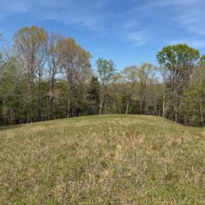 Photo #12 of Seven Island, Danbury, NC 25.1 acres