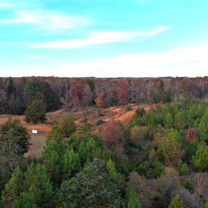 Photo #6 of Lot 1 Cheeks Quarter, Henderson, NC 40.8 acres