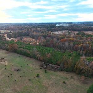 Photo #9 of Lot 1 Cheeks Quarter, Henderson, NC 40.8 acres