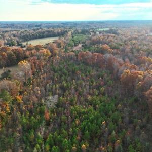 Photo #11 of Lot 1 Cheeks Quarter, Henderson, NC 40.8 acres