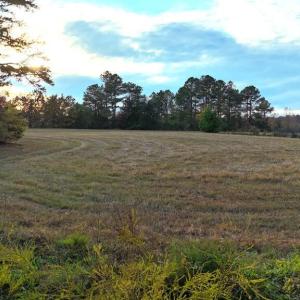 Photo #3 of Lot 1 Cheeks Quarter, Henderson, NC 40.8 acres