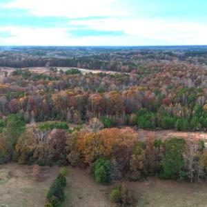 Photo #14 of Lot 1 Cheeks Quarter, Henderson, NC 40.8 acres