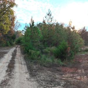 Photo #5 of Lot 1 Cheeks Quarter, Henderson, NC 40.8 acres