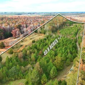 Photo #4 of Lot 1 Cheeks Quarter, Henderson, NC 40.8 acres