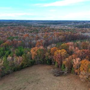Photo #16 of Lot 1 Cheeks Quarter, Henderson, NC 40.8 acres