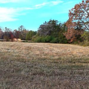 Photo #17 of Lot 1 Cheeks Quarter, Henderson, NC 40.8 acres