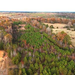 Photo #7 of Lot 1 Cheeks Quarter, Henderson, NC 40.8 acres