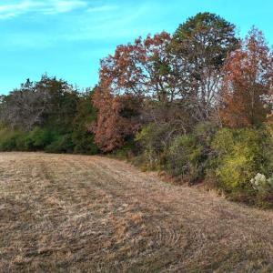 Photo #18 of Lot 1 Cheeks Quarter, Henderson, NC 40.8 acres
