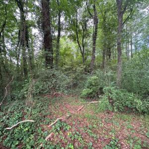 Photo #12 of Lakeside, Raleigh, NC 4.0 acres