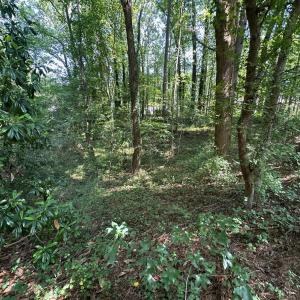 Photo #22 of Lakeside, Raleigh, NC 4.0 acres